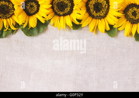 Gelbe Sonnenblumen Raum Hintergrund, selektive kopieren konzentrieren, Muskelaufbau Stockfoto