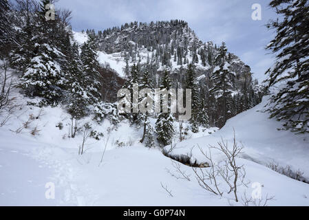 verschneiten Bergregion mit frische Spuren in den Schnee, Bayern, Deutschland Stockfoto