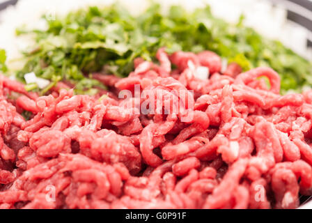 Rohes Hackfleisch und fein gehackten grünen Closeup. Stockfoto