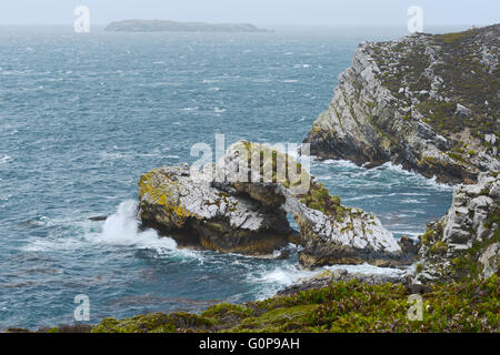 Die Nord-Ost Küste von East Falkland, Falklandinseln (Islas Malvinas) Stockfoto