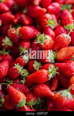 Frische rote Erdbeeren in Körbe bereit für den Verkauf auf dem Marktplatz angeordnet. Geringe Schärfentiefe. Stockfoto