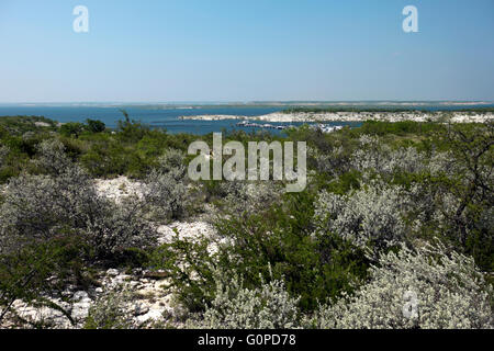 Übersicht über Erholungsgebiet Lake Amistad von Schwarzpunkt Pinsel am südlichen Ufer des Stausees Amistad. Stockfoto