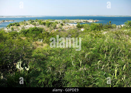 Lake Amistad von der Gouverneurs-Landung in der Nähe von Del Rio, Texas. Auf dem Wüstenboden im Vordergrund sind Mesquite und Purple Sage. Stockfoto