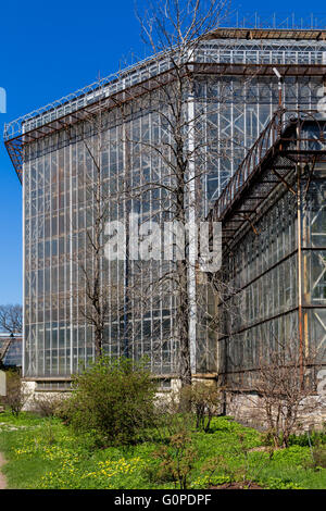 Gewächshaus in Sankt-Peterburg Botanischer Garten. alte Architektur aus Glas und Metall in klaren sonnigen Tag Stockfoto