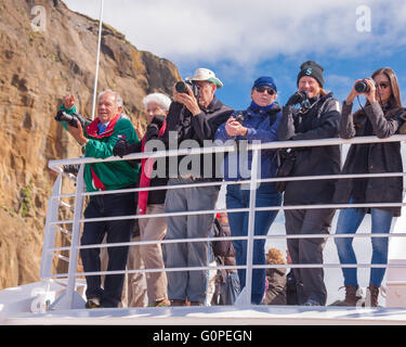 3. August 2015 - eine Gruppe von Kreuzfahrtpassagiere an der Reling des Luxus-Kreuzfahrtschiff Le Boreal, Französisch Compagnie du Ponant, Ansicht und Foto Inkrafttreten Heimaey Hafen in den Westmännerinseln Schären Gruppe (Vestmannaeyjar), vor der südlichen Küste von Island. Heimaey ist abhängig von seiner Fischereiindustrie, sondern bekannt für Vogelbeobachtung und vulkanischer Aktivität, und der Tourismus ist eine wachsende Wirtschaftssektor Heimaey mit Island immer ein beliebtes Touristenziel. © Arnold Drapkin/ZUMA Draht/Alamy Live-Nachrichten Stockfoto