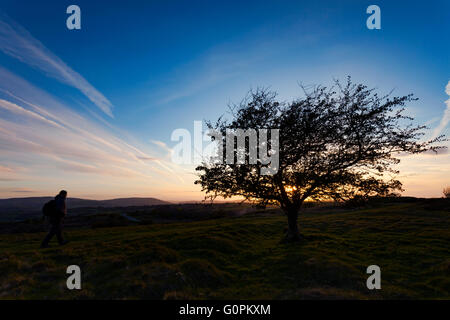 Flintshire, North Wales, UK Wetter-UK Temperaturen beginnt diese Woche mit dem Ergebnis +20 C Grad von Wochenende zu steigen. Ein Wanderer injoys die Sonne, als es über Halkyn Berg mit Blick auf die Clwydian Hügel Hügel legt. Stockfoto