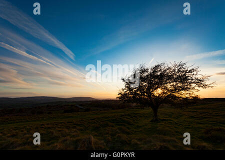 Flintshire, North Wales, UK Wetter-UK Temperaturen beginnt diese Woche mit dem Ergebnis +20 C Grad von Wochenende zu steigen. Sonne über Halkyn Berg mit Blick auf die Clwydian Hügel Hügel. Stockfoto