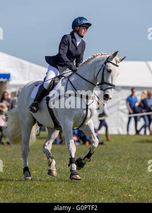 Badminton House, Badminton, UK. 4. Mai 2016. Mitsubishi Motors Badminton Horse Trials. Tag eins. Alyson Parker Moloko während des Show Jumping Bestandteils der BE100-Meisterschaft in der Mitsubishi Motors Cup Reiten. Bildnachweis: Aktion Plus Sport/Alamy Live-Nachrichten Stockfoto