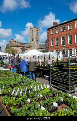 Markttag in Fakenham Stadtzentrum, Norfolk, england Stockfoto