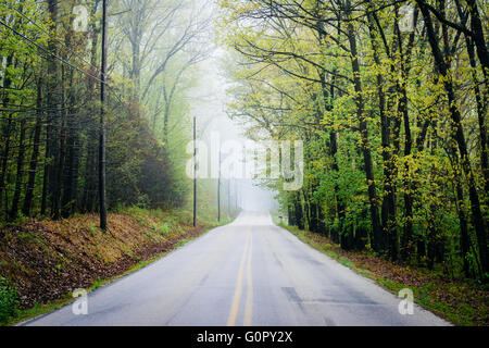 Shaffers Church Road im Nebel, in der Nähe von Glen Rock, Pennsylvania. Stockfoto