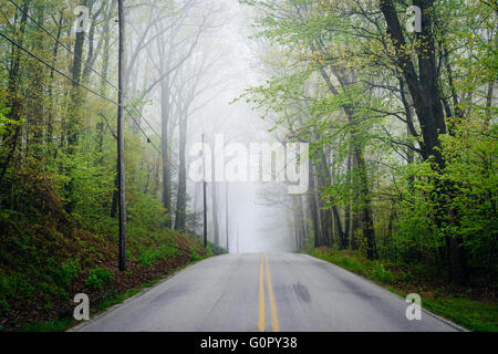 Shaffers Church Road im Nebel, in der Nähe von Glen Rock, Pennsylvania. Stockfoto