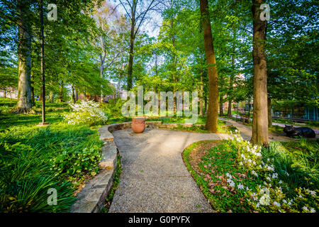 Gärten und Bäumen entlang einem Gehweg an der Johns Hopkins University in Baltimore, Maryland. Stockfoto