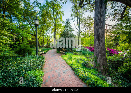 Gärten und Bäumen entlang einem Gehweg an der Johns Hopkins University in Baltimore, Maryland. Stockfoto