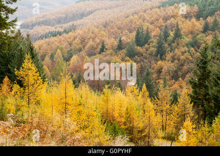 Upper Derwent Valley in Derbyshire Peaks England Großbritannien Stockfoto