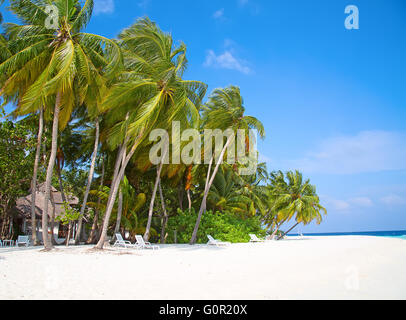 Malediven Insel. Paradies in den Tropen. Stockfoto
