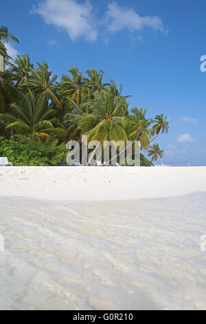 Malediven Insel. Paradies in den Tropen. Stockfoto