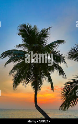 Sonnenuntergang über dem Meer auf den Malediven Stockfoto