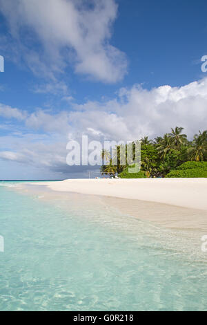 Malediven Insel. Paradies in den Tropen. Stockfoto