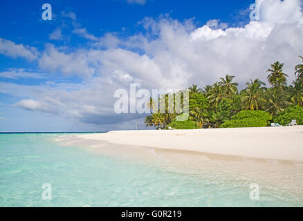 Malediven Insel. Paradies in den Tropen. Stockfoto