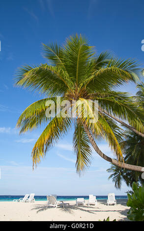 Malediven Insel. Paradies in den Tropen. Stockfoto