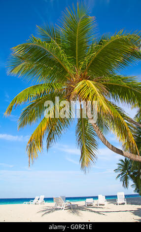 Malediven Insel. Paradies in den Tropen. Stockfoto