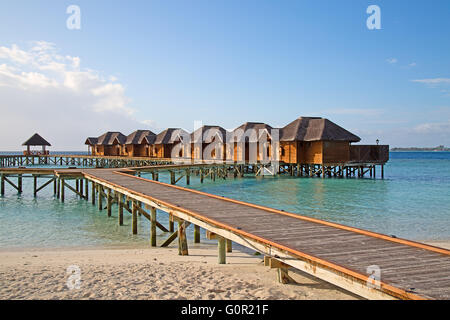 Malediven Insel. Paradies in den Tropen. Stockfoto