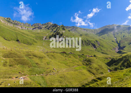 Schöne Aussicht auf die Alpen auf der Steam train in Richtung Brienzer Rothorn, im Berner Oberland, Schweiz. Stockfoto