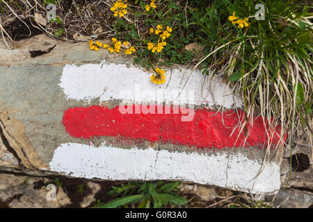 Nahaufnahme des weißen rot weißen Schild den Wanderweg in Schweizer Alpen. Stockfoto