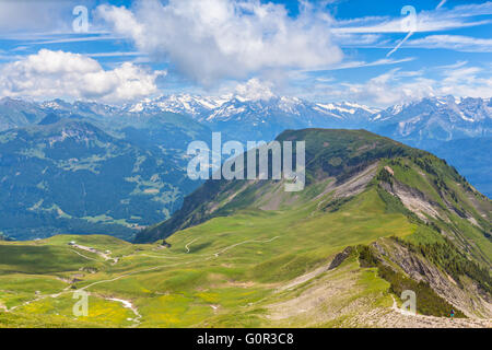 Atemberaubende Aussicht auf dem Wanderweg im Berner Oberland mit schönen Blumen im Vordergrund und die Bergkette der Alpen auf der Rückseite Stockfoto