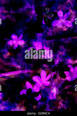 Moderne digitale staubigen florale Kunst Grafikdesign Stockfoto