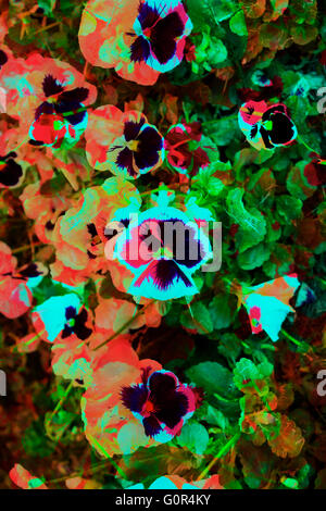 Moderne digitale florale Kunst Grafikdesign Stockfoto