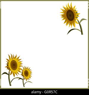 Grusskarte mit Sonnenblumen, Vektor Stock Vektor