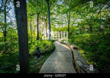 Fußweg durch einen kleinen Wald am Johns Hopkins University in Baltimore, Maryland. Stockfoto