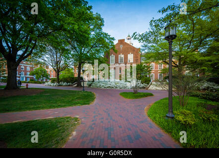 Gehwege und Gebäude in der Johns Hopkins University in Baltimore, Maryland. Stockfoto