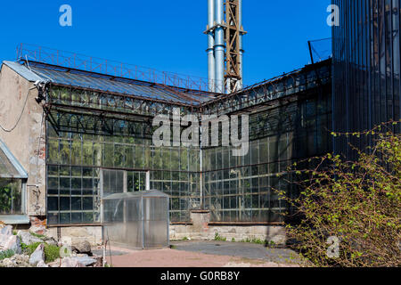 Gewächshaus in Sankt-Peterburg Botanischer Garten. alte Architektur aus Glas und Metall in klaren sonnigen Tag Stockfoto