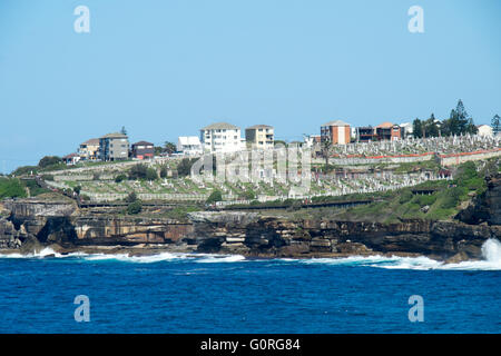 Sydneys Coastal Walk vor Waverley Cemetery. Stockfoto