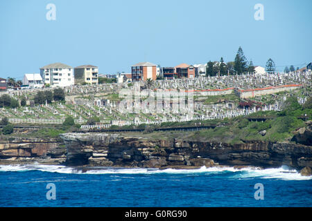 Sydneys Coastal Walk vor Waverley Cemetery. Stockfoto