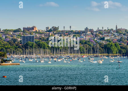 Sehen Sie sich auf viele Segelboote und Wohnungsbau in Double Bay vom Hafen von Sydney, Sydney Stockfoto