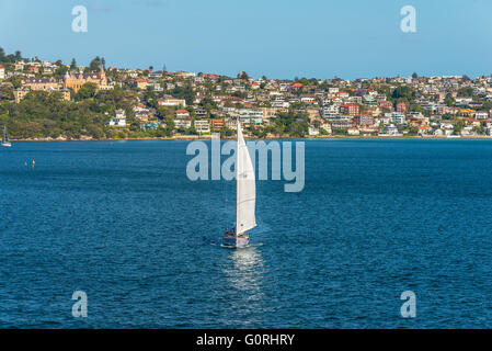 Segelboot und Wohnungsbau in Rose Bay, Sydney, New South Wales, Australien. Stockfoto