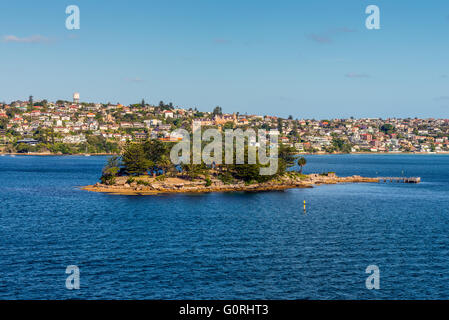 Shark Island angesehen von Sydney Harbour, New South Wales, Australien. Stockfoto