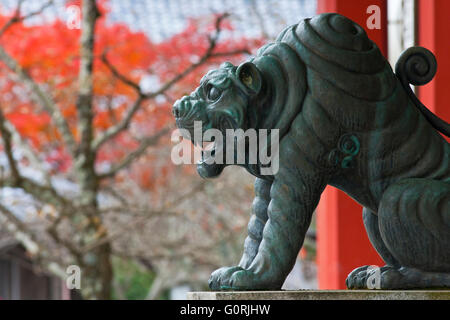 Eine Herbst Ansicht zeigt ein Bronze Wächter Löwenstatue am Hondo main Hall des Kurama-Dera Tempel in der nördlichen Kurama Bezirk von Kyoto, Japan. Stockfoto