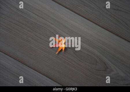Ein Momiji Ahornblatt auf unlackierte Holz Stockfoto