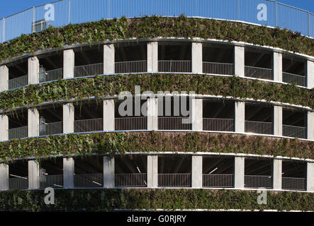 Parkplatz-Anlage, Glostrup Hospital, Copenhagen. Das Runde Gebäude hinterlässt einen minimalen Platzbedarf und Sonnenkollektoren entlang der Fassade mit der grünen Wand bietet einen üppigen visuellen Eindruck eingearbeitet hat. Außenansicht des Krankenhauses mit Laub auf der Stockfoto