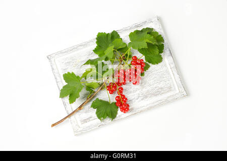 Zweig von roten Johannisbeeren auf Holzbrett Stockfoto