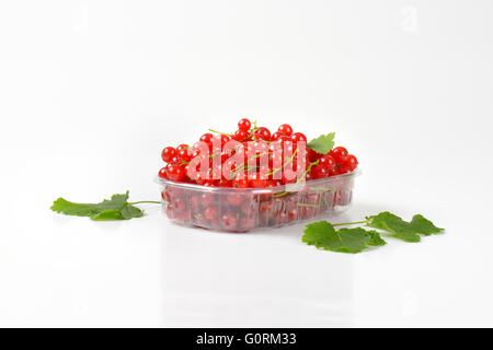 Frische rote Johannisbeere Beeren in Kunststoff-container Stockfoto