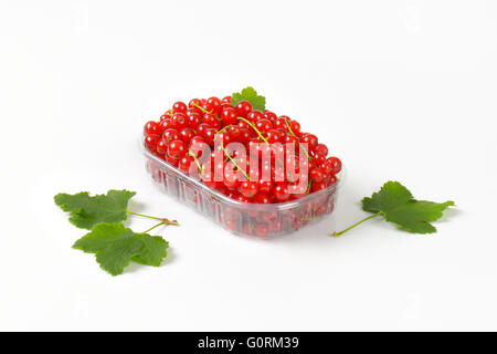 Frische rote Johannisbeere Beeren in Kunststoff-container Stockfoto