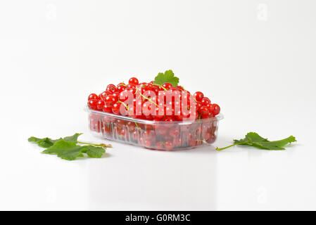 Frische rote Johannisbeere Beeren in Kunststoff-container Stockfoto