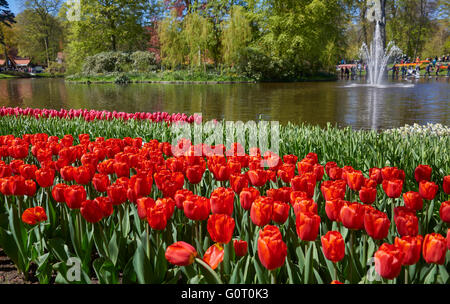 Keukenhof ("Küchengarten") Stockfoto