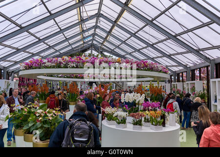 Keukenhof ("Küchengarten") Stockfoto