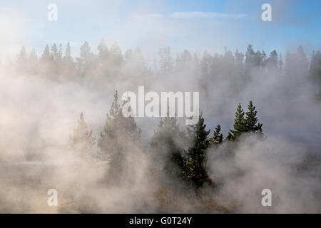 WY01615-00... WYOMING - Nebel und Dampf an einem kalten Morgen im West Thumb Geyser Basin im Yellowstone National Park. Stockfoto